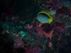 DSCN1027.JPG