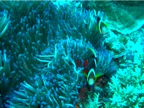 DSCN4054.JPG