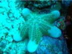 DSCN4056.JPG