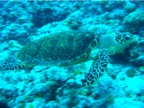 DSCN4061.JPG