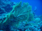 DSCN1041.JPG