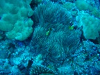 DSCN1044.JPG