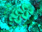DSCN4063.JPG
