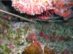 DSCN4067.JPG
