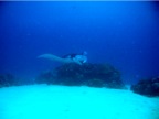 DSCN4080.JPG