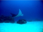 DSCN4081.JPG