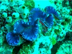 DSCN4083.JPG
