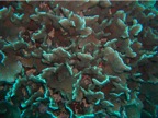DSCN4087.JPG