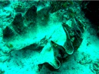 DSCN4088.JPG