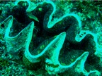 DSCN4089.JPG