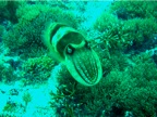 DSCN4097.JPG