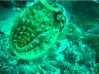 DSCN4101.JPG