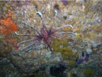 DSCN4126.JPG