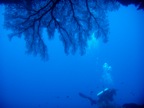 DSCN1073.JPG