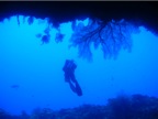 DSCN4132.JPG