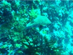 DSCN4141.JPG