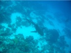 DSCN4183.JPG