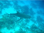 DSCN4189.JPG