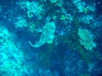 DSCN1078.JPG