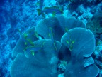 DSCN1110.JPG