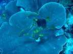 DSCN1111.JPG