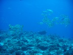 DSCN1112.JPG