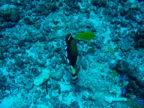 DSCN1118.JPG