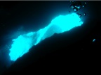 DSCN4261.JPG