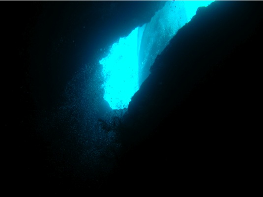 Loading Image