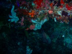 DSCN1149.JPG