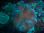 DSCN1151.JPG