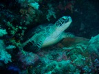 DSCN1153.JPG