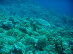 DSCN1160.JPG