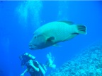DSCN4318.JPG