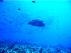 DSCN4320.JPG