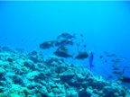 DSCN4323.JPG