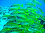 DSCN4325.JPG