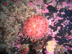 DSCN0386.JPG