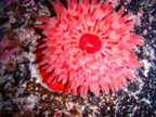 DSCN0390.JPG