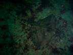 DSCN0412.JPG