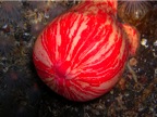 DSCN3248.JPG