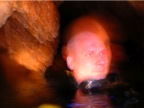 DSCN4209.JPG