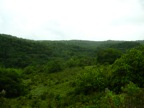 DSCN4352.JPG