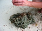 DSCN4170.JPG