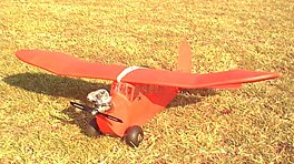 Dennis Blevins' Lazy Bee