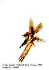Images/2408972.jpg (8123 octets)