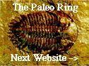 The Paleo Ring's Next Website