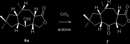 Oxidation of the synthetic sesquiterpene 6a with the Jones reagent