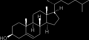 cholesterol
