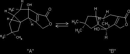 Two conformations possible for the synthetic sesquiterpene 5a